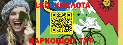 тгк Новодвинск
