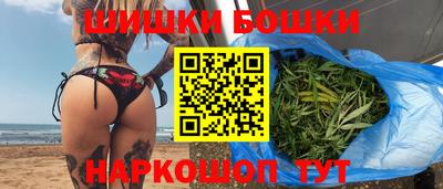 тгк Новодвинск