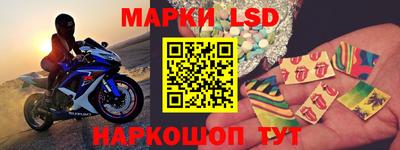 тгк Новодвинск