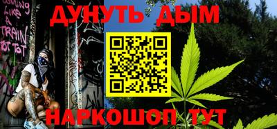 тгк Новодвинск