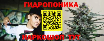 тгк Новодвинск