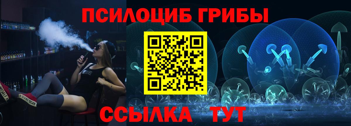 Псилоцибиновые грибы мицелий Свободный